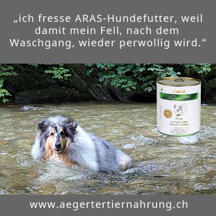 ARAS-Sensitive Nassfutter - PUTE
