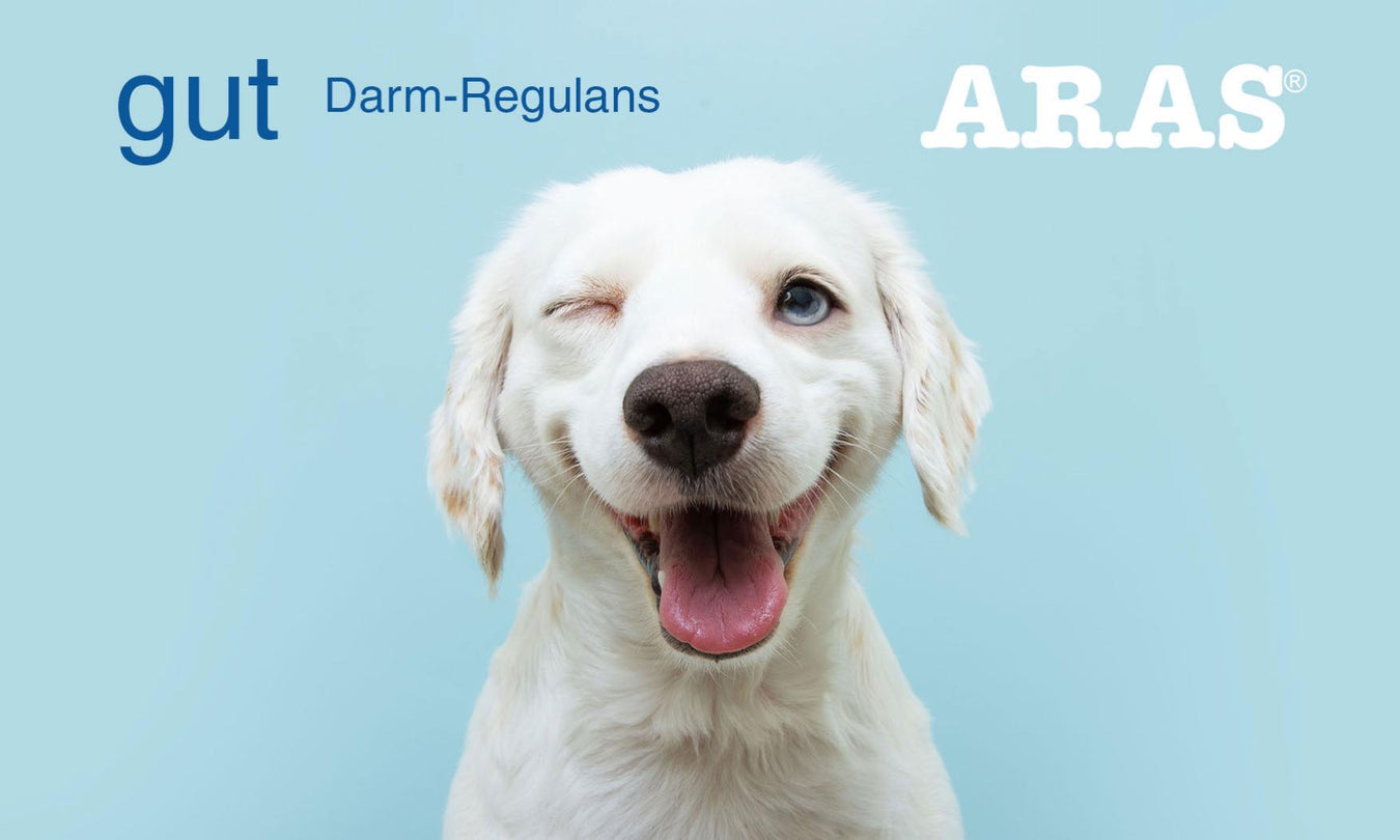 ARAS Nahrungsergänzung Hund, Gut Darmregulans